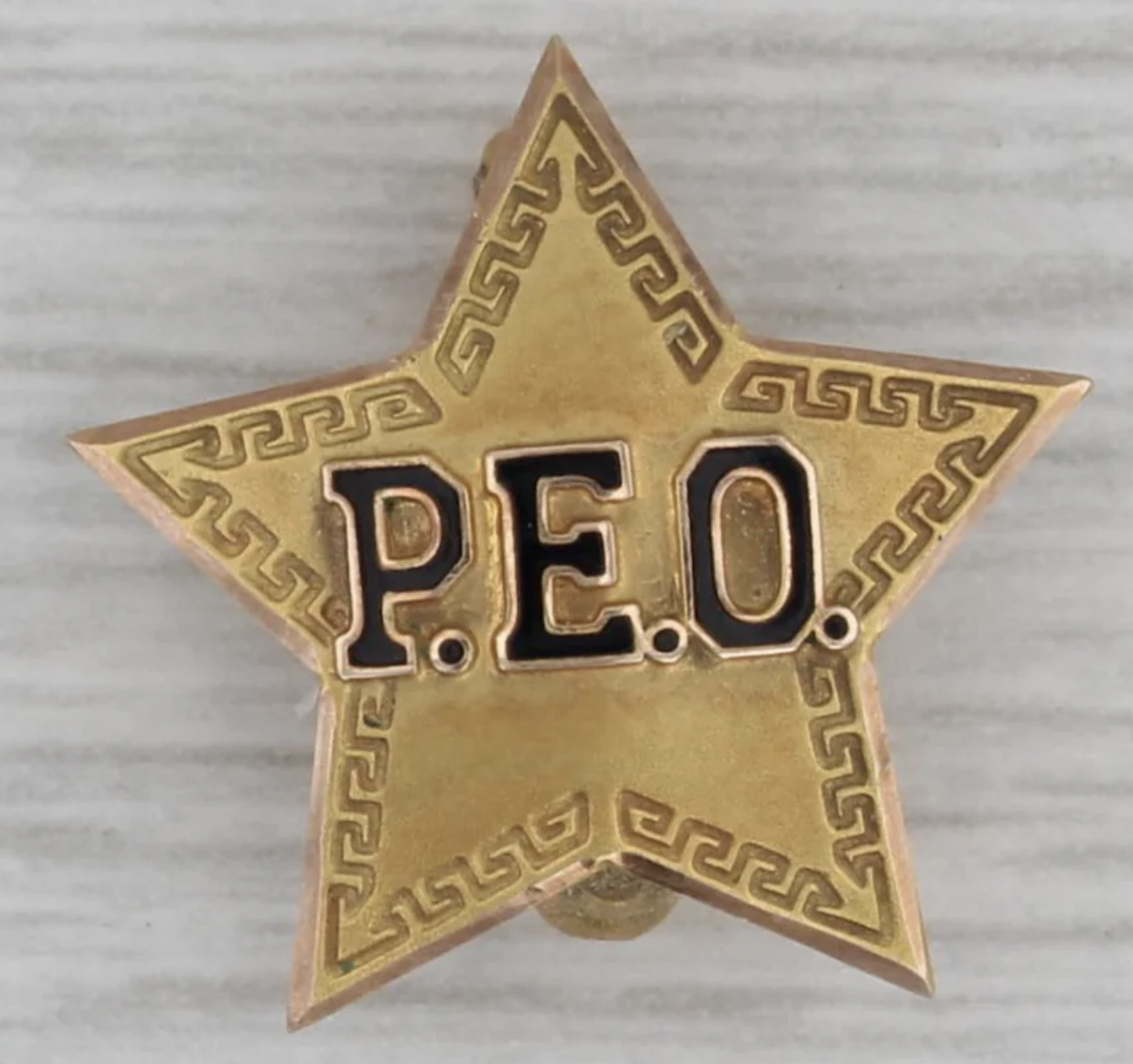 Elva Ferguson on Education and P.E.0.